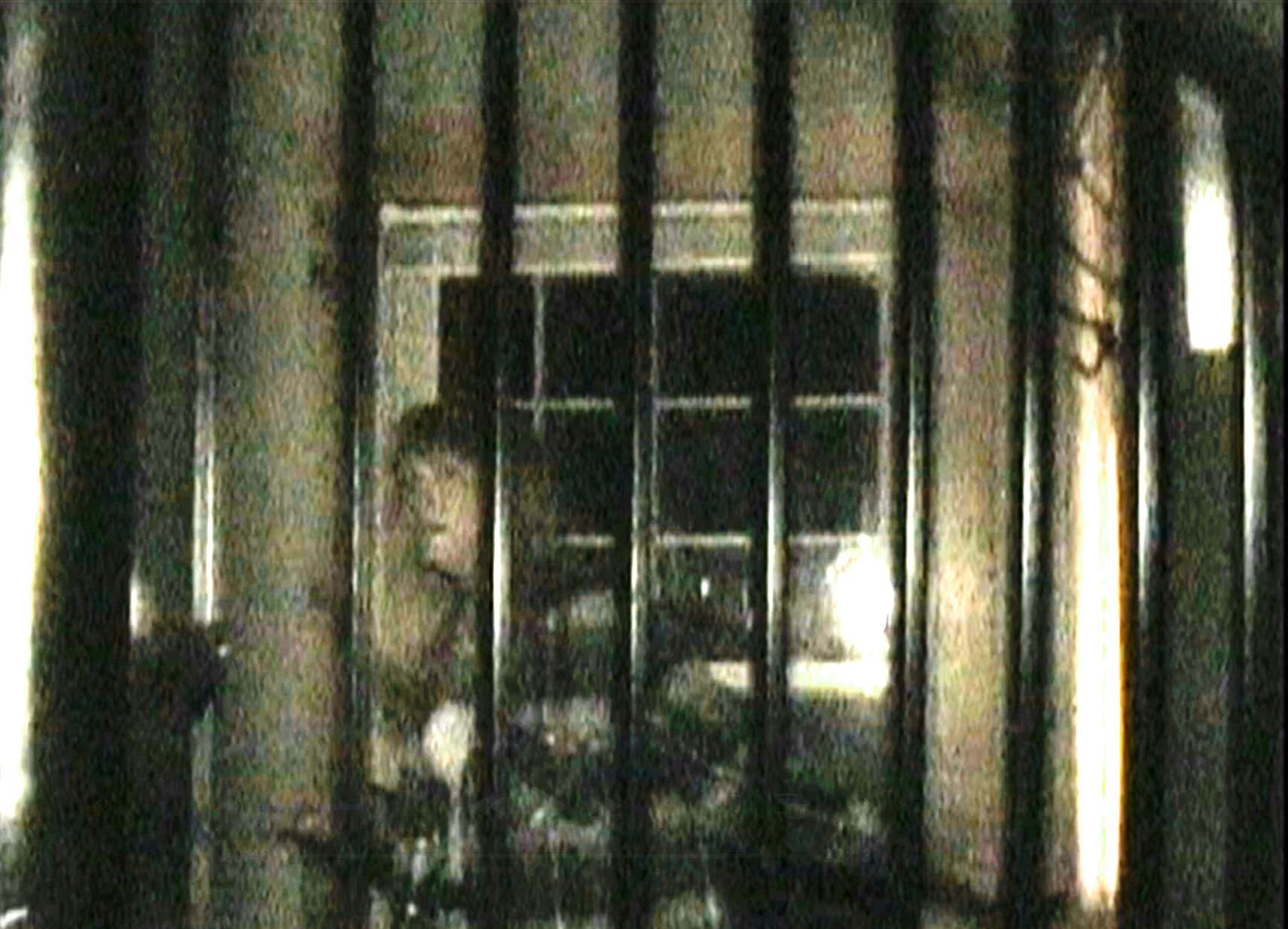 階段にいるライリー